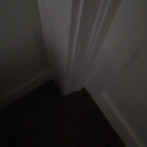 Meet your Posher, Brady